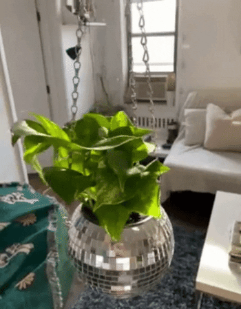 gif of a reviewer's disco ball planter housing a plant and spinning, reflecting light in a room