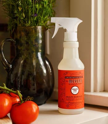 the vessel of herb vine scented spray