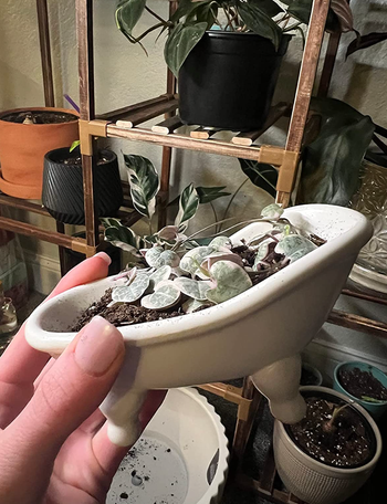 Reviewer holding white version with plants inside of it 