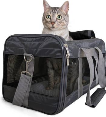 A cat sits inside a portable pet carrier with mesh sides, showcasing a travel solution for pet owners