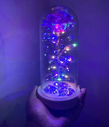 41 Weird Things To Create Your Own Oddity Museum