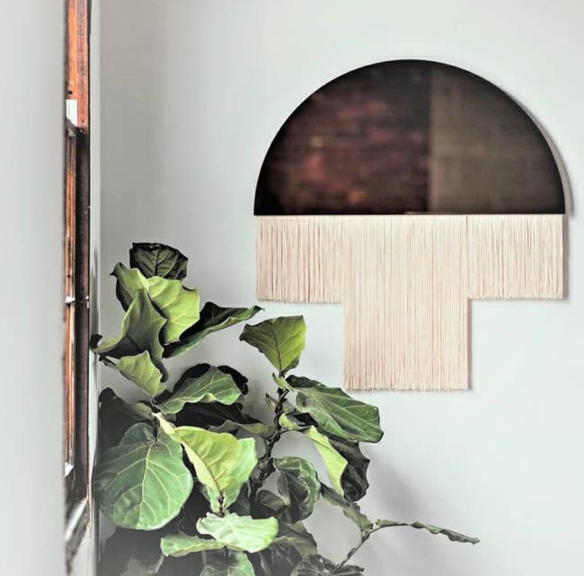 Decorative wall mirror with fringe detail next to a potted indoor plant