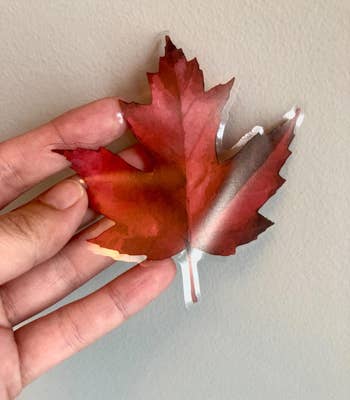 a reviewer holding a leaf cling