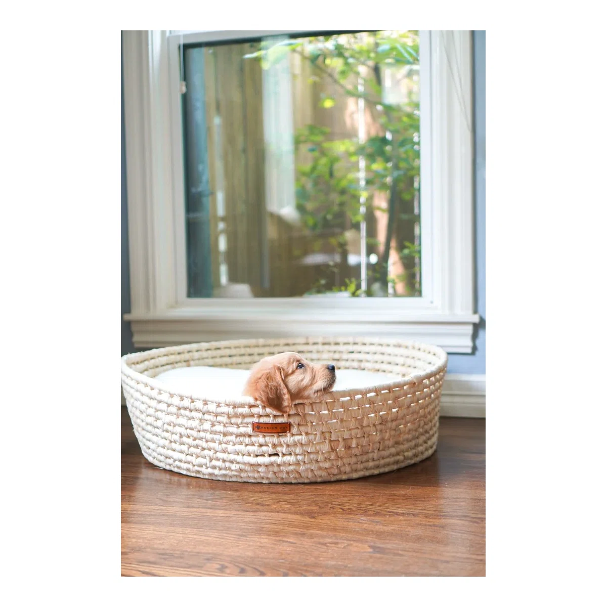 Puppy resting successful  a woven handbasket  furniture  by a window