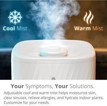 graphic showing the cool and warm mist options of the humidifier
