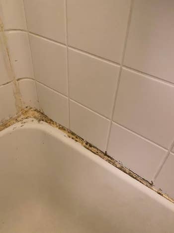 Corner of reviewers bathtub showing mold and caulking 