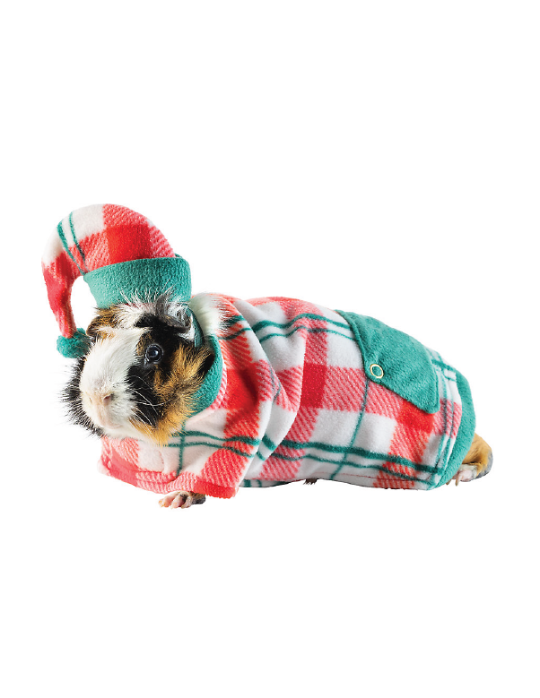 hamster in plaid pjs