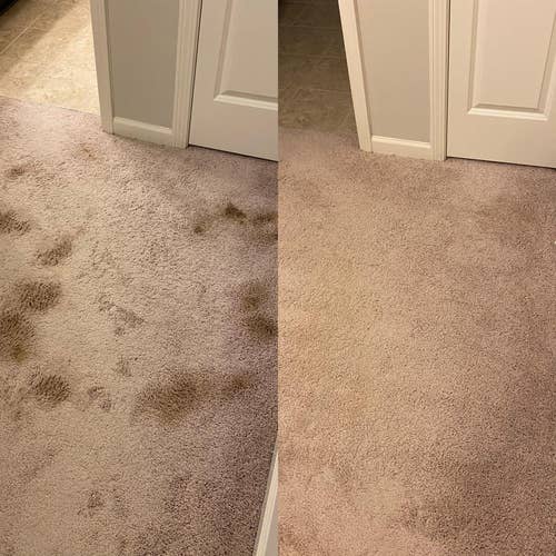 side by side reviewer before and after images of heavily stained beige carpet becoming stain-free and clean