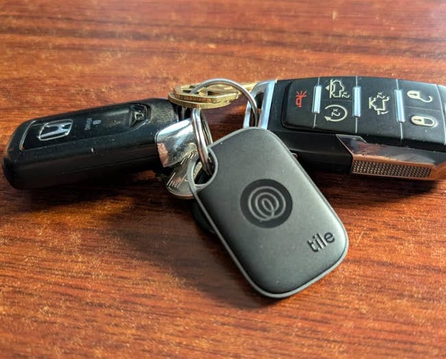 Car keys connected a woody aboveground with a cardinal tracker attached