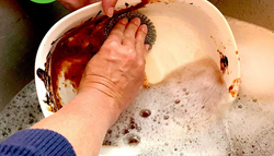 person cleaning dish with the scrubber