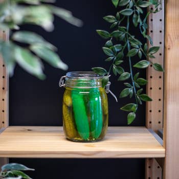Vibrators in jar with actual pickles