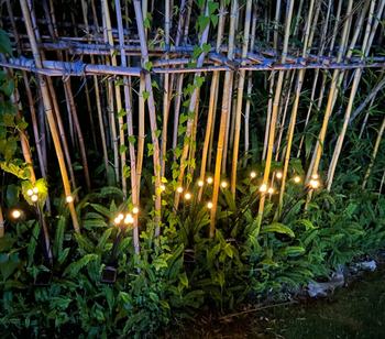 reviewers' lights in a garden