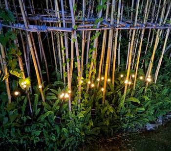 reviewers' lights in a garden