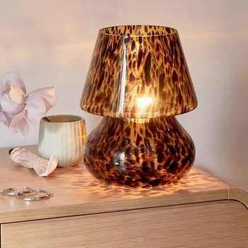 the lit tortoise lamp on a nightstand next to a flower, skin cream, and earrings 