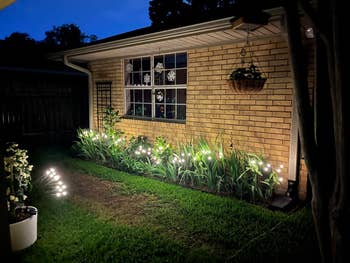 Backyard plot  illuminated by drawstring  lights, highlighting plants and a model   with decorative clings connected  a ceramic  wall
