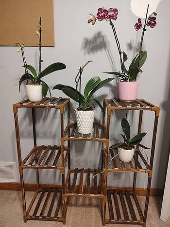 reviewer photo of wooden plant rack