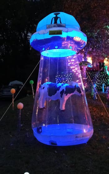 the inflatable UFO with a cow inside