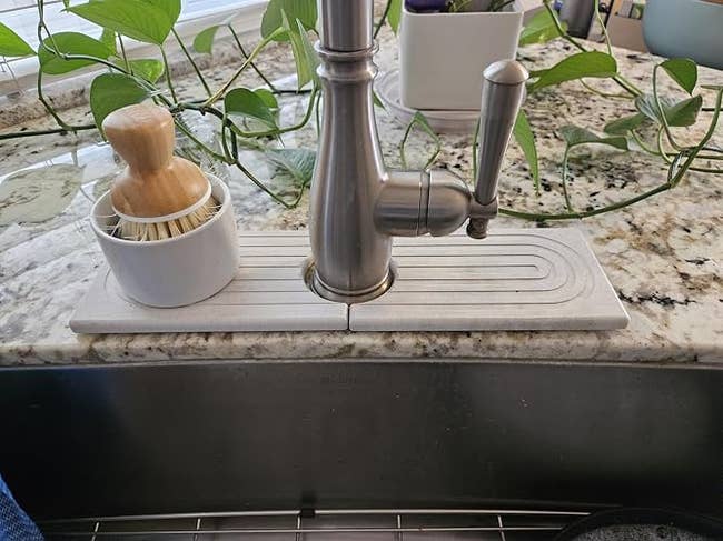 Modern room  descend  with a brushed nickel faucet and countertop crockery  brush. Green plants are successful  the background