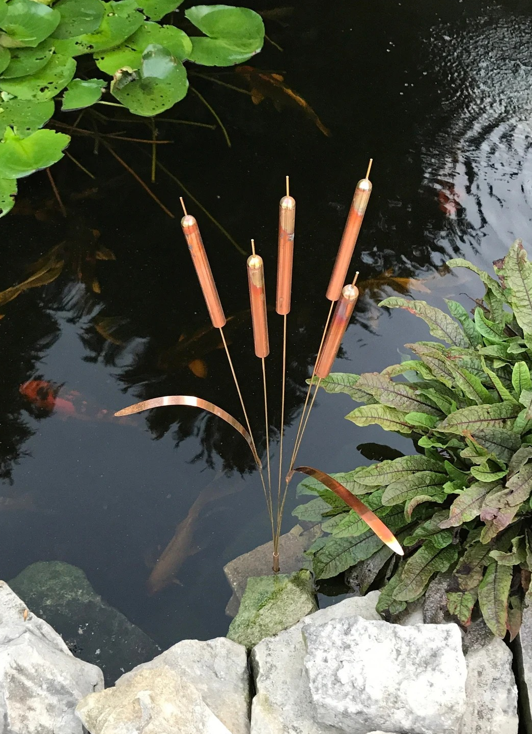 Copper cattails in a pond around rocks and with fish inside