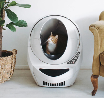 A cat sitting in a white Litter Robot 