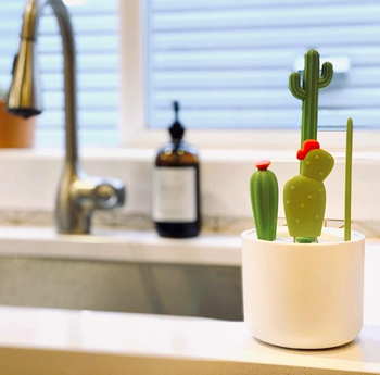 reviewer image of the cacti brush set in the white container