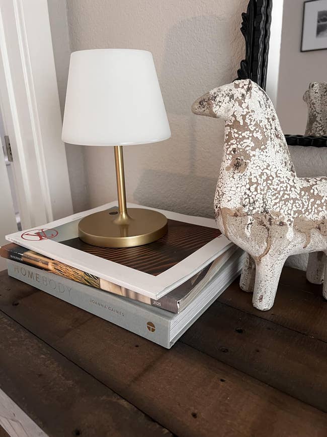 A tiny array lamp sits atop stacked books adjacent to a decorative chromatic equine connected a woody table