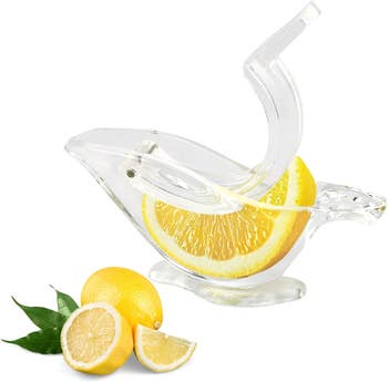the manual lemon juicer