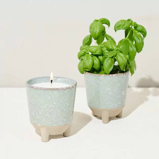 Lit candle and basil plant in matching ceramic pots