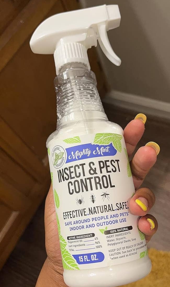 Hand holding a bottle of Mighty Mint Insect & Pest Control spray