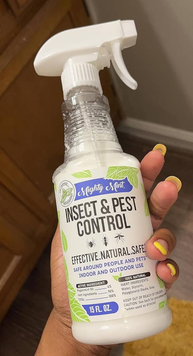Hand holding a bottle of Mighty Mint Insect & Pest Control spray