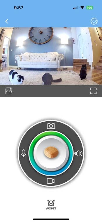 reviewer's screenshot of the app's live camera viewing