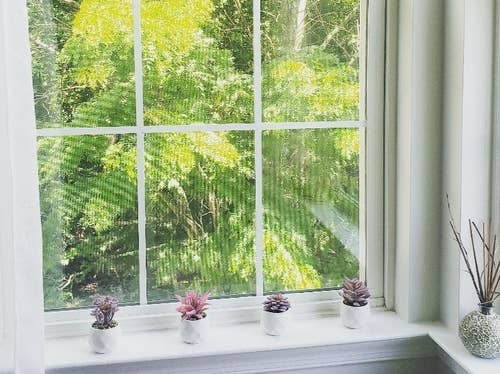 reviewer photo of the faux succulents lined up along a window sill