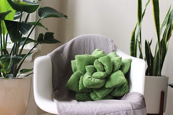succulent pillow on a chair
