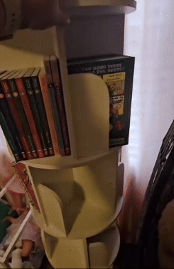 Bookshelf with children's books, including Dr. Seuss, connected  a rotating support  successful  a cozy country   with toys. Suitable for organizing a kid's speechmaking  space