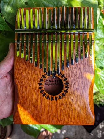 reviewer holding a woody kalimba