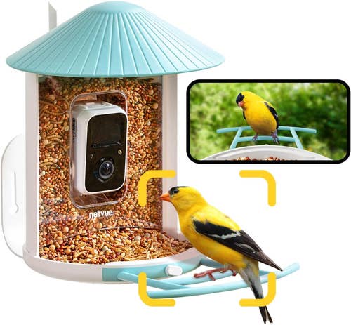 Netvue smart bird feeder with camera