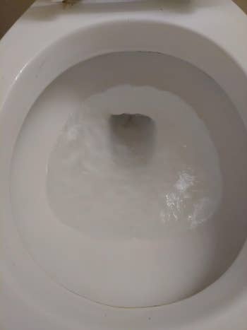 Reviewer's toilet bowl after cleaning