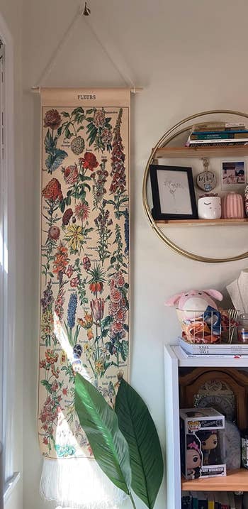 Wall with a botanical creation  people     with labeled flowers, hanging support  with photos and decor, and a bookshelf with assorted  items including books and a planter