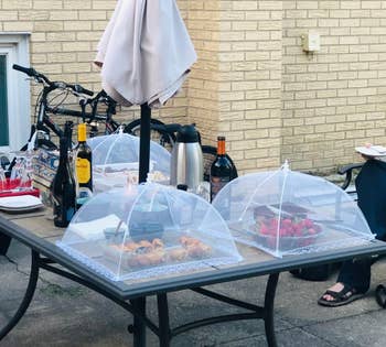 Outdoor array with pastries, strawberries nether mesh covers, vino bottles, a thermos, and tableware. Bikes and a idiosyncratic are successful the background