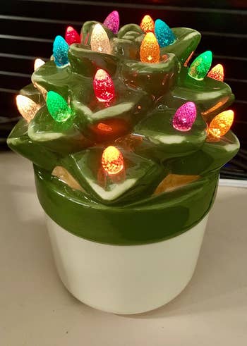 ceramic aleo plant with lights