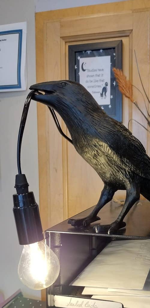 A raven with a wire attached to a bulb in it's mouth on a reviewer's table