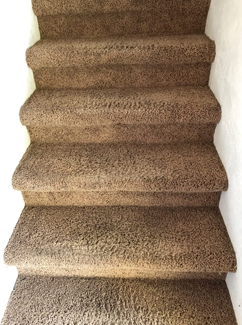 the same carpeted stair case now looking clean