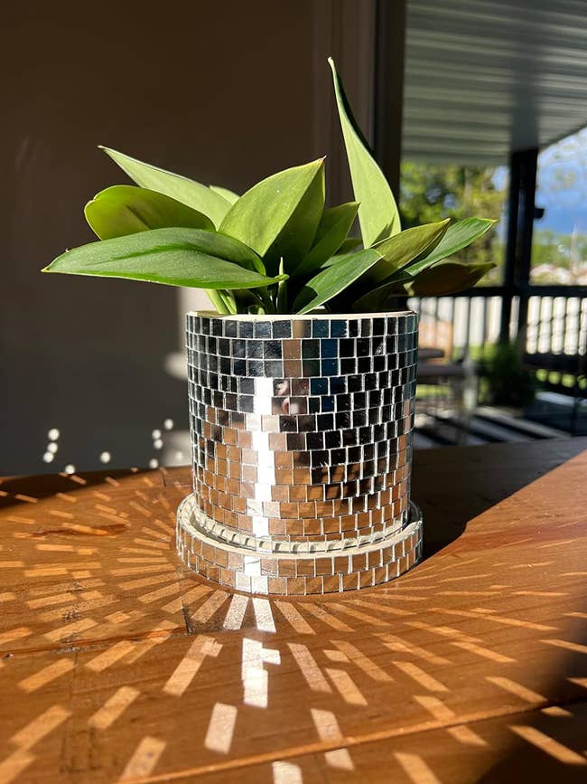 mirrored cylindrical planter with base