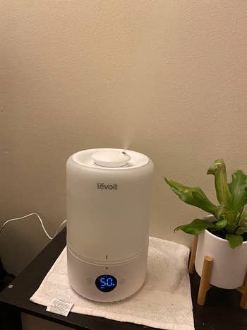 11 Best Cool Mist Humidifiers To Hydrate Your Home 2022