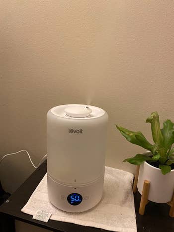 reviewer photo of smart humidifier emitting steam