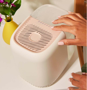hand touching the pink humidifier