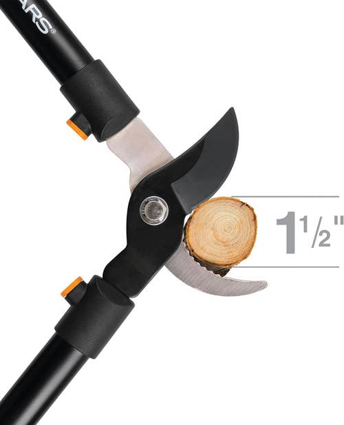 lopper cutting into branch