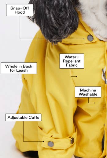 maxbone diagram of raincoat showcasing its features