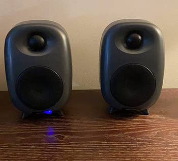 Reviewer image of two black speakers