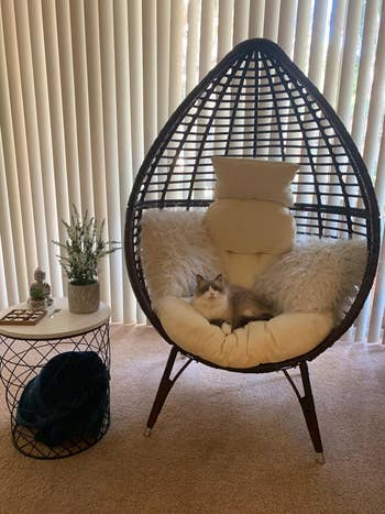 a review photo of a cat laying in the chair indoors